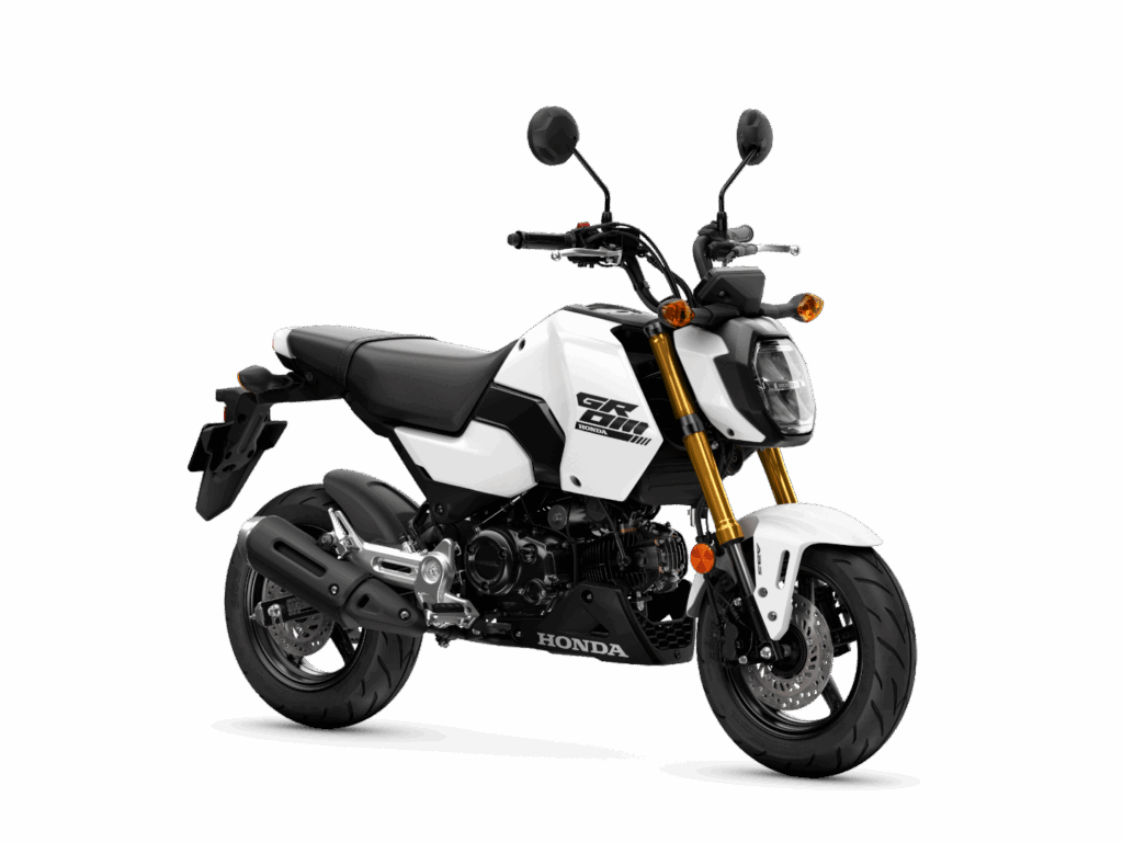 Ein weißes Honda Grom Mini-Motorrad mit schwarzen Akzenten, goldener Vorderradgabel und aufrecht stehenden Spiegeln wird aus einem seitlichen Winkel auf einem transparenten Hintergrund gezeigt - perfekt für die Präsentation während der HONDA 125er Deal Days. Rider's Point der Kaltenbach Gruppe. Dein Partner für BMW Motorrad und Honda.